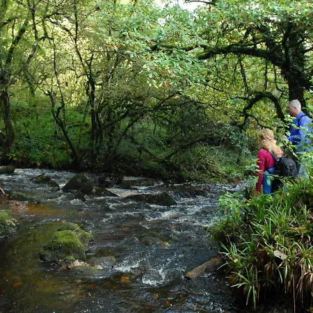 Ballyhoura Mountain Luxury Holiday No 13 Holiday home Ballyorgan