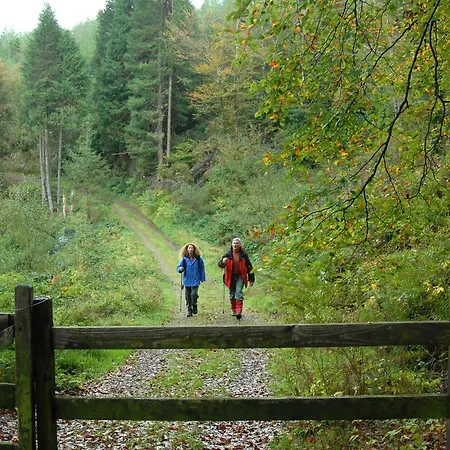 Ballyhoura Mountain Luxury Holiday No 13